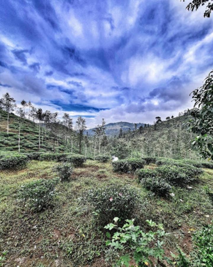 Noah'S Nest Tree House Apartamento Thekkady Exterior foto