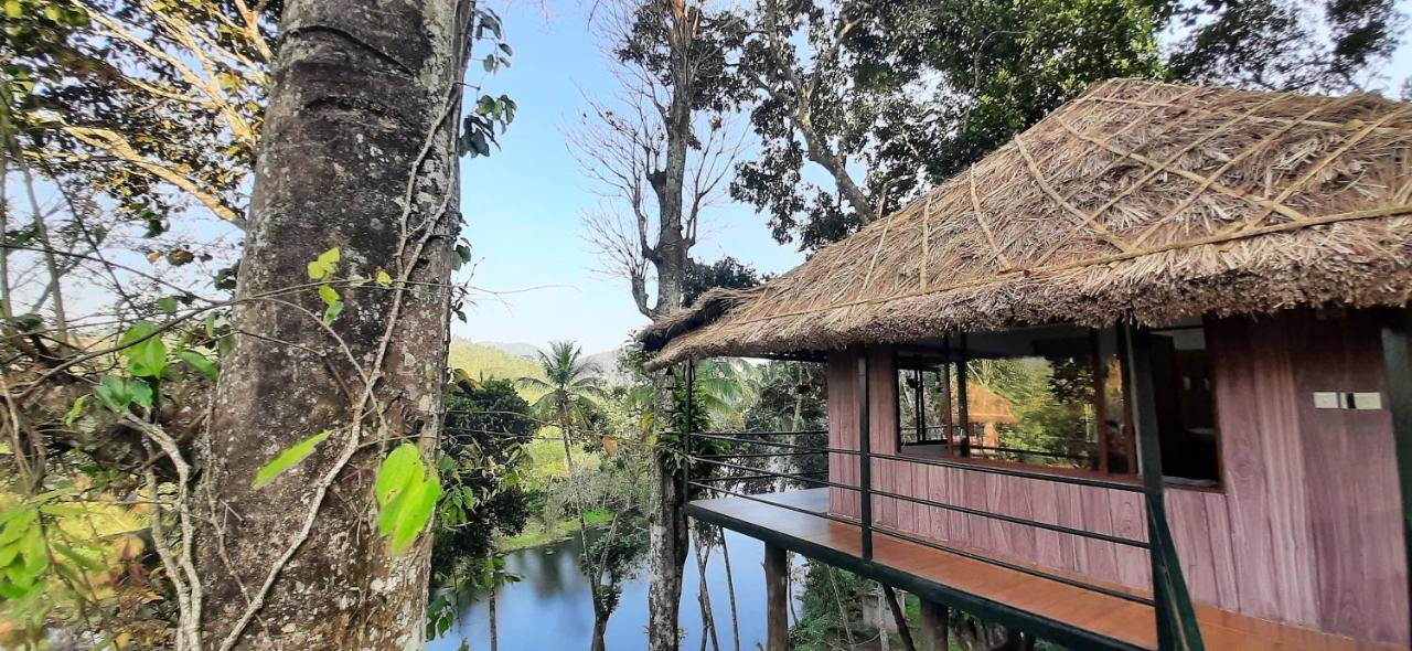 Noah'S Nest Tree House Apartamento Thekkady Exterior foto