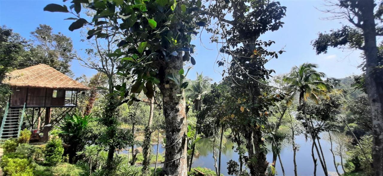 Noah'S Nest Tree House Apartamento Thekkady Exterior foto