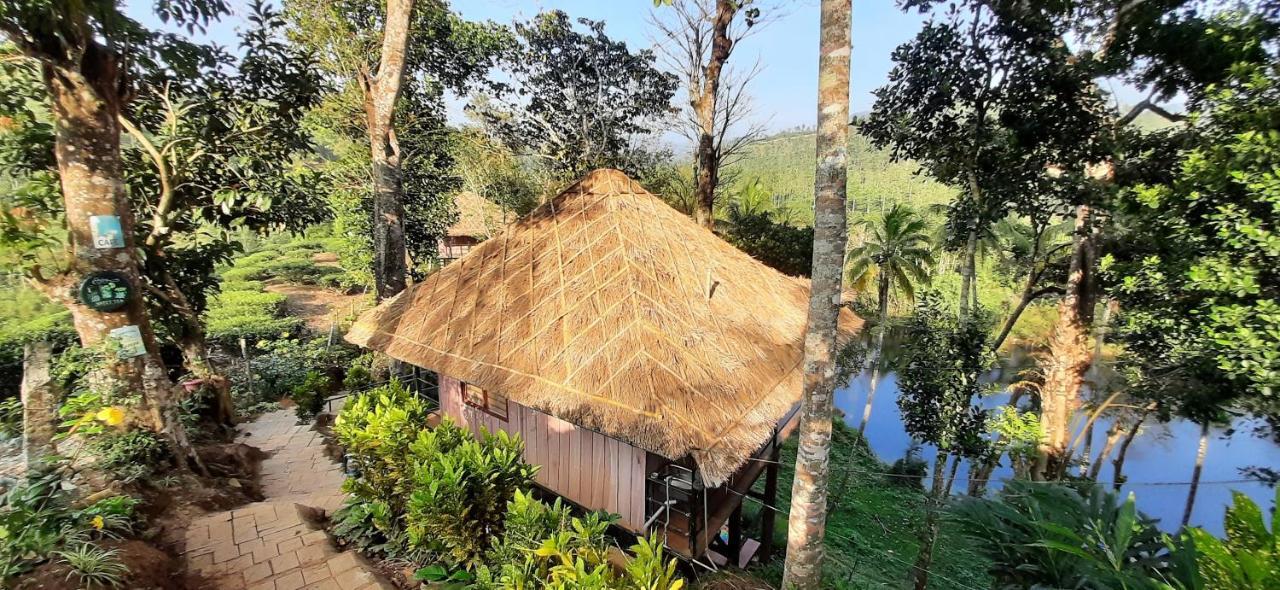 Noah'S Nest Tree House Apartamento Thekkady Exterior foto