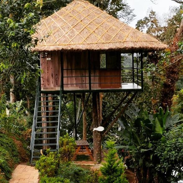 Noah'S Nest Tree House Apartamento Thekkady Exterior foto