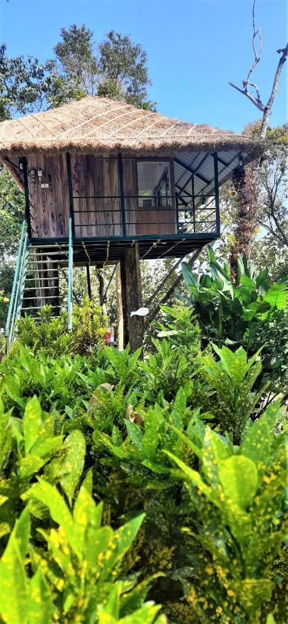 Noah'S Nest Tree House Apartamento Thekkady Exterior foto
