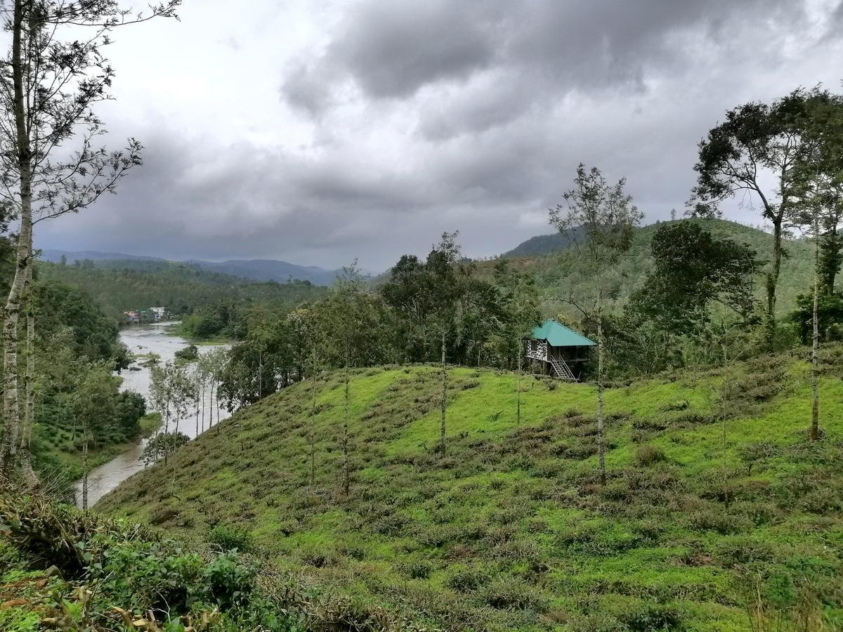 Noah'S Nest Tree House Apartamento Thekkady Exterior foto