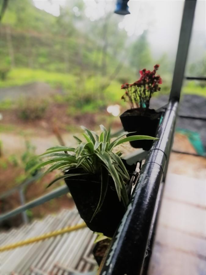 Noah'S Nest Tree House Apartamento Thekkady Exterior foto