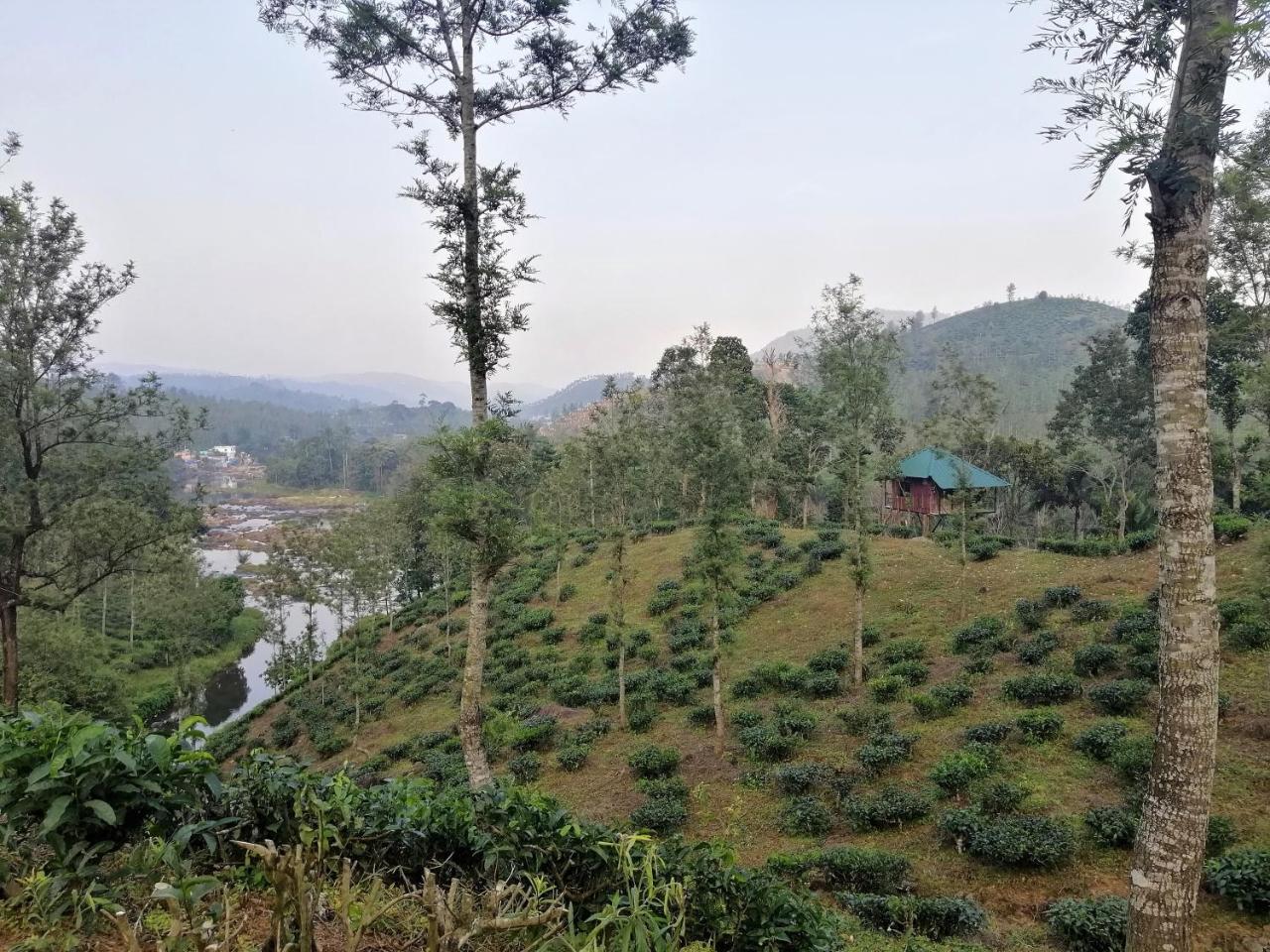 Noah'S Nest Tree House Apartamento Thekkady Exterior foto