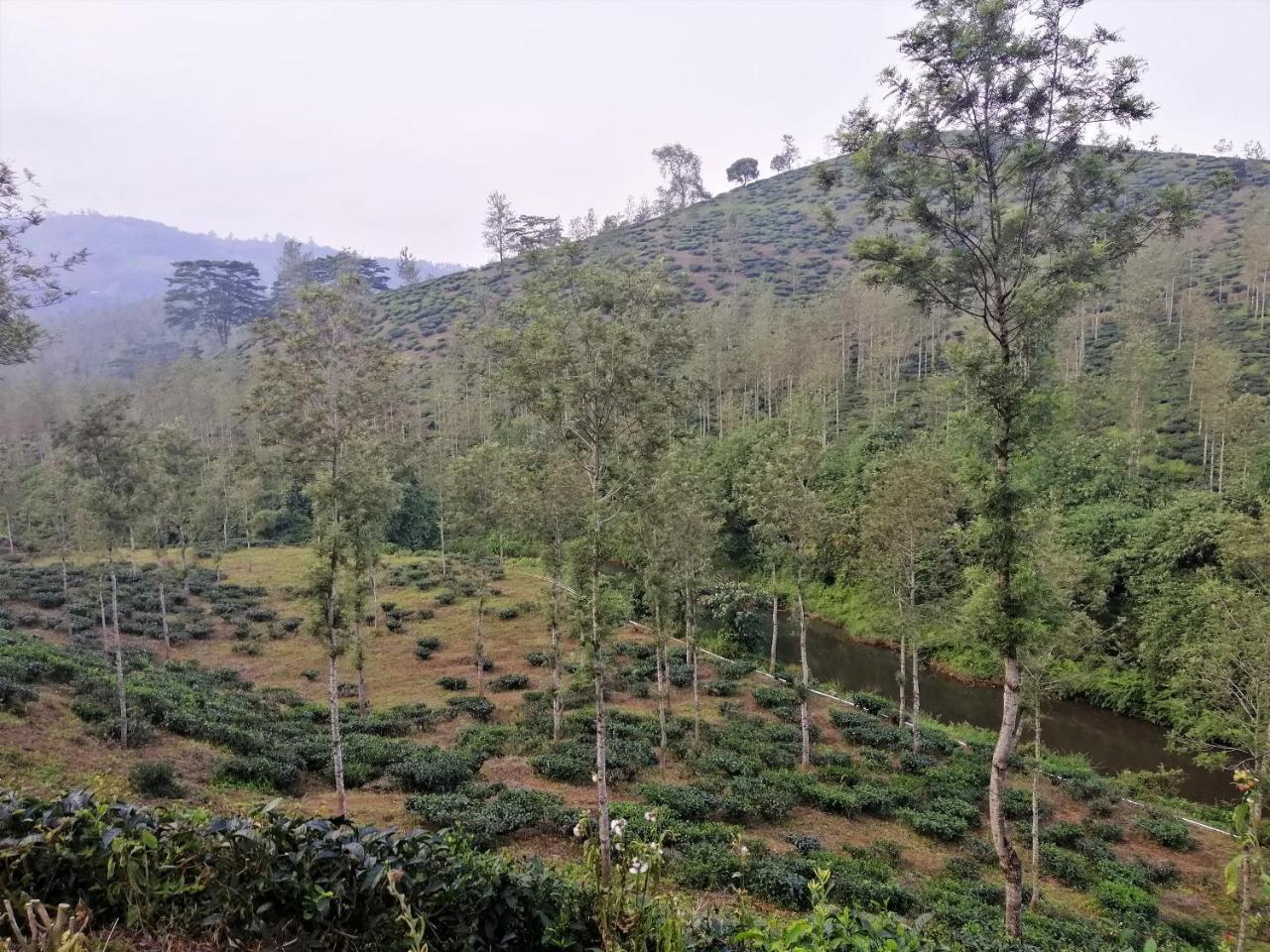 Noah'S Nest Tree House Apartamento Thekkady Exterior foto