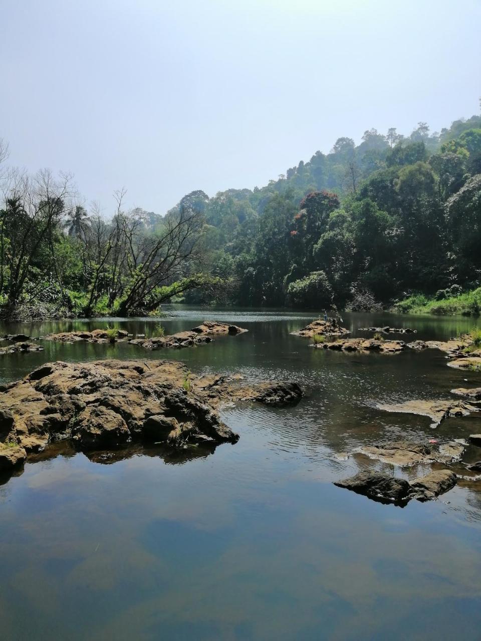 Noah'S Nest Tree House Apartamento Thekkady Exterior foto