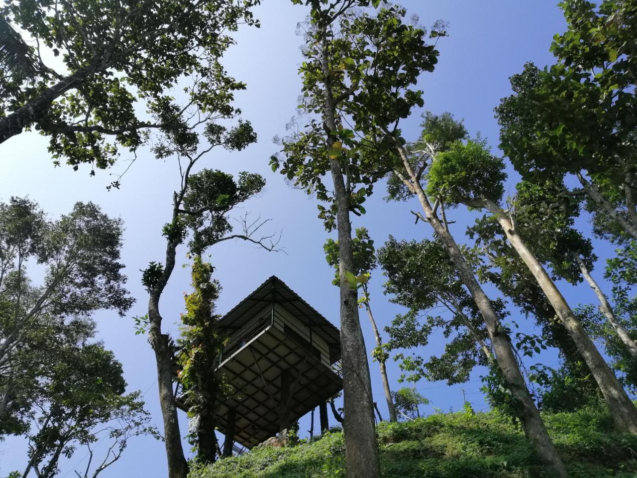 Noah'S Nest Tree House Apartamento Thekkady Exterior foto