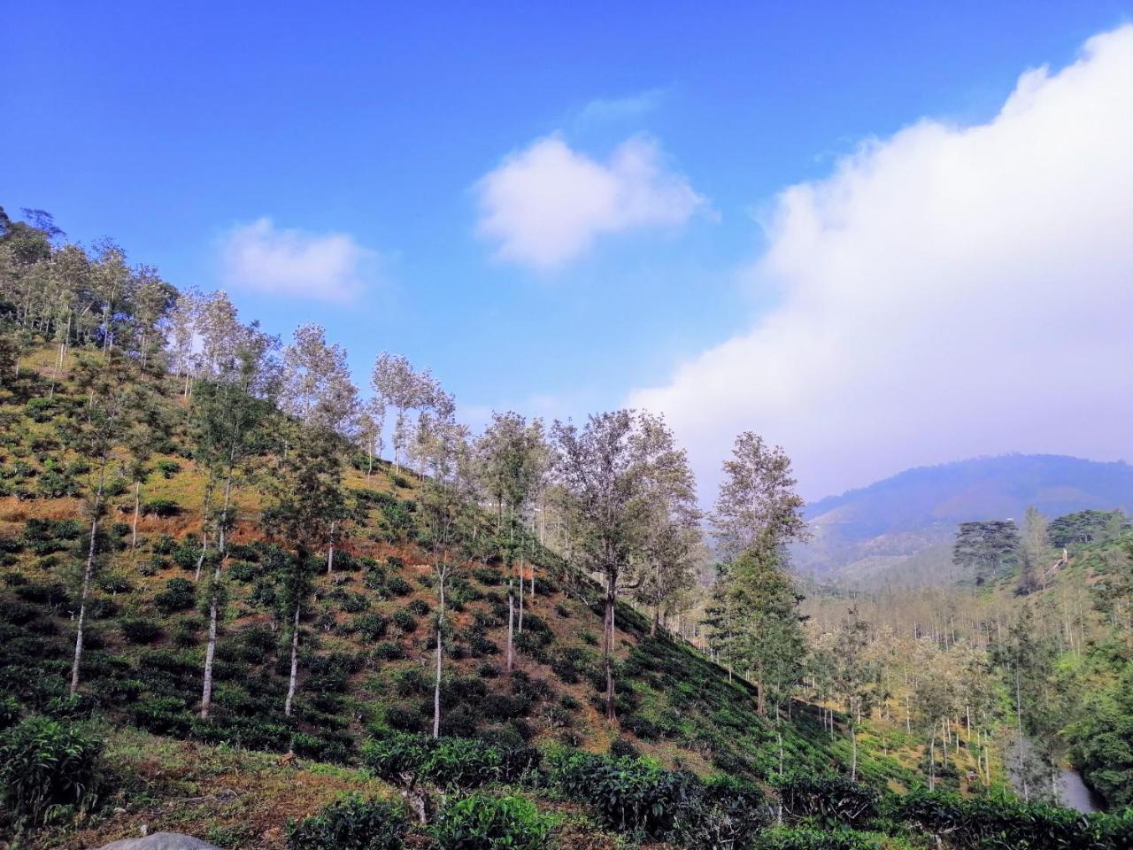 Noah'S Nest Tree House Apartamento Thekkady Exterior foto