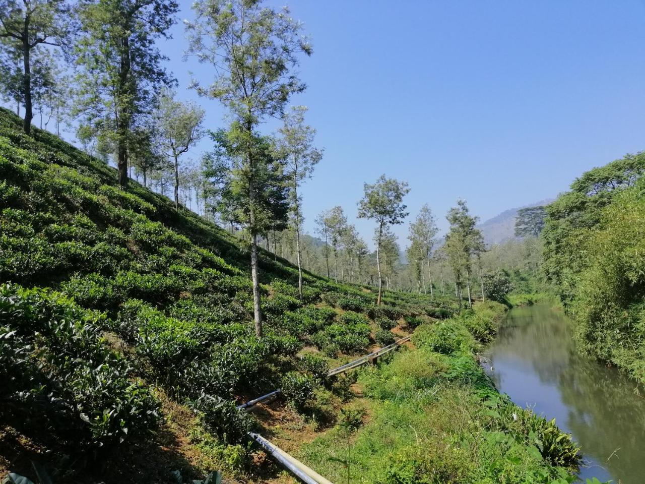 Noah'S Nest Tree House Apartamento Thekkady Exterior foto